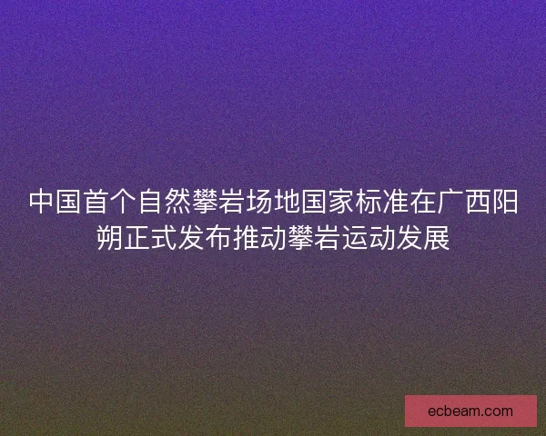 中国首个自然攀岩场地国家标准在广西阳朔正式发布推动攀岩运动发展