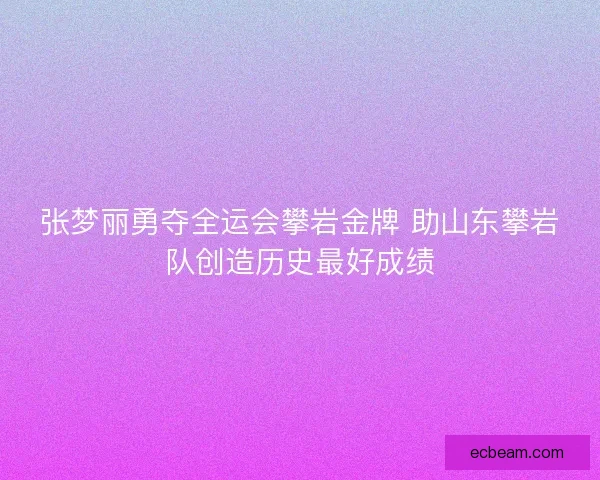 张梦丽勇夺全运会攀岩金牌 助山东攀岩队创造历史最好成绩